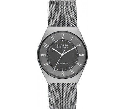 Наручные часы Skagen GRENEN SKW6836