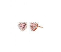 Сережки Michael Kors MKC1519A2791