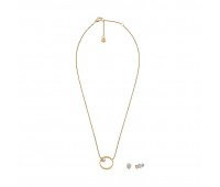Набор колье и сережки Skagen SKJB1014SET