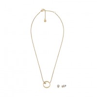 Набор колье и сережки Skagen SKJB1014SET