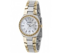 Наручные часы Fossil AM4183