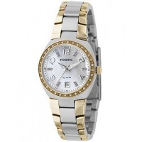 Наручные часы Fossil AM4183