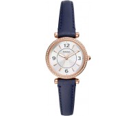 Наручные часы Fossil ES5295
