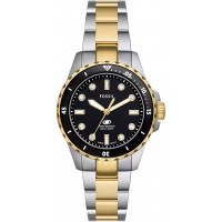 Наручные часы Fossil ES5349