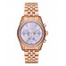 Наручные часы Michael Kors MK6207