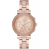 Наручные часы Michael Kors MK6560