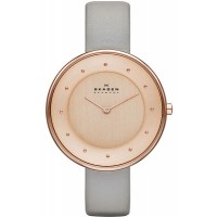 Наручные часы Skagen Leather SKW2139