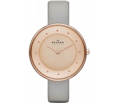 Наручные часы Skagen Leather SKW2139