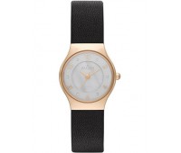 Наручные часы Skagen Leather SKW2209