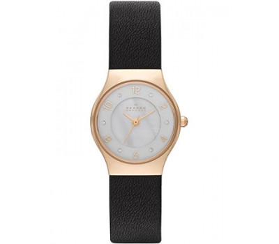 Наручные часы Skagen Leather SKW2209