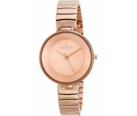 Наручные часы Skagen Steel SKW2227