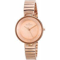 Наручные часы Skagen Steel SKW2227