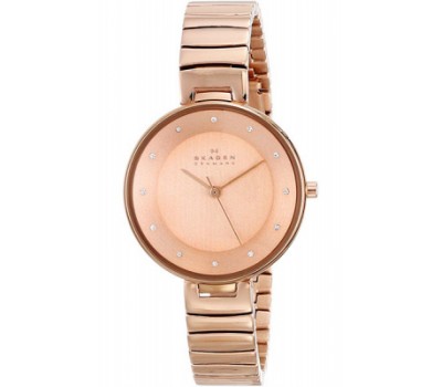 Наручные часы Skagen Steel SKW2227