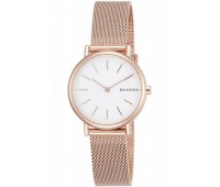 Наручные часы Skagen Steel SKW2694
