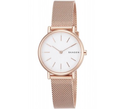 Наручные часы Skagen Steel SKW2694