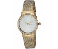 Наручные часы Skagen Steel SKW2717