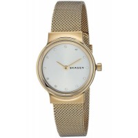 Наручные часы Skagen Steel SKW2717