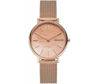 Наручные часы Skagen Steel SKW2732