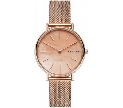 Наручные часы Skagen Steel SKW2732
