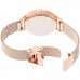 Наручные часы Skagen Steel SKW2732