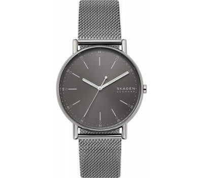 Наручные часы Skagen Signatur SKW6577