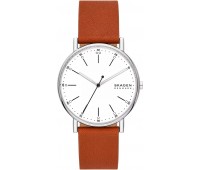 Наручные часы Skagen Signatur SKW6903