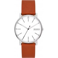 Наручные часы Skagen Signatur SKW6903