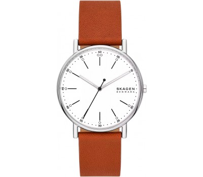 Наручные часы Skagen Signatur SKW6903