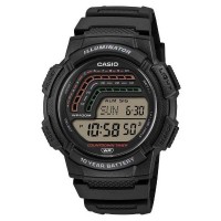 Наручные часы Casio Collection WS-1800-1A