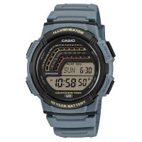 Наручные часы Casio Collection WS-1800-2A