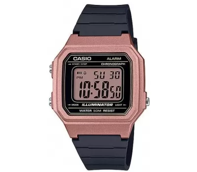 Наручные часы Casio Collection W-217HM-5A