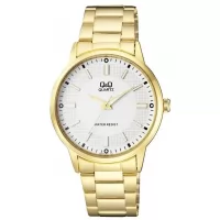 Наручные часы Q&Q Q968J001Y