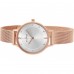 Наручные часы Skagen SKW2151