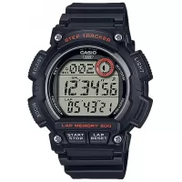 Наручные часы Casio Collection WS-2100H-1A