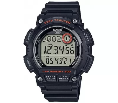 Наручные часы Casio Collection WS-2100H-1A