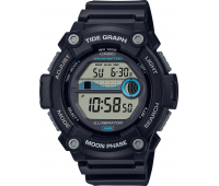 Наручные часы Casio Collection WS-1300H-1A