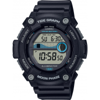 Наручные часы Casio Collection WS-1300H-1A