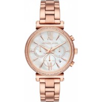 Наручные часы Michael Kors MK6576
