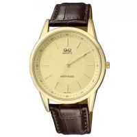 Наручные часы Q&Q Q886J100Y
