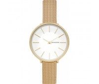 Наручные часы Skagen SKW2722