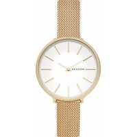 Наручные часы Skagen SKW2722