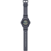 Наручные часы Casio Collection WS-1300H-8A