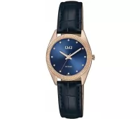 Наручные часы Q&Q QZ49J102Y