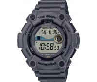Наручные часы Casio Collection WS-1300H-8A