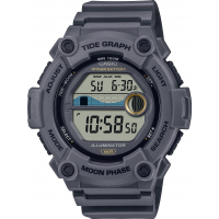 Наручные часы Casio Collection WS-1300H-8A