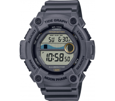 Наручные часы Casio Collection WS-1300H-8A
