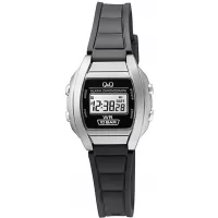 Наручные часы Q&Q LL01J001Y