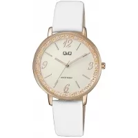 Наручные часы Q&Q QC09J114Y