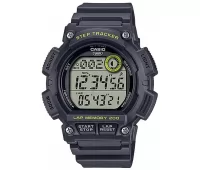 Наручные часы Casio Collection WS-2100H-8A