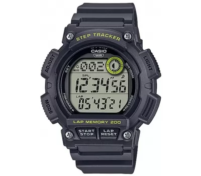 Наручные часы Casio Collection WS-2100H-8A